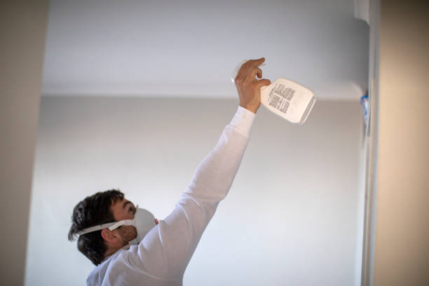 Best Mold Removal Near Me  in Colville, WA